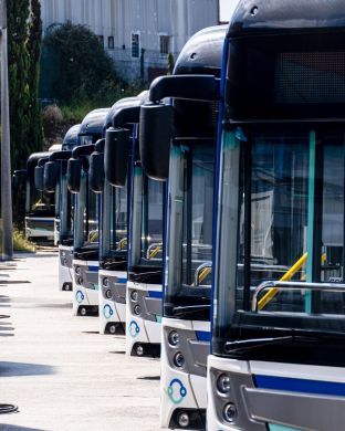 autocarros em espinha